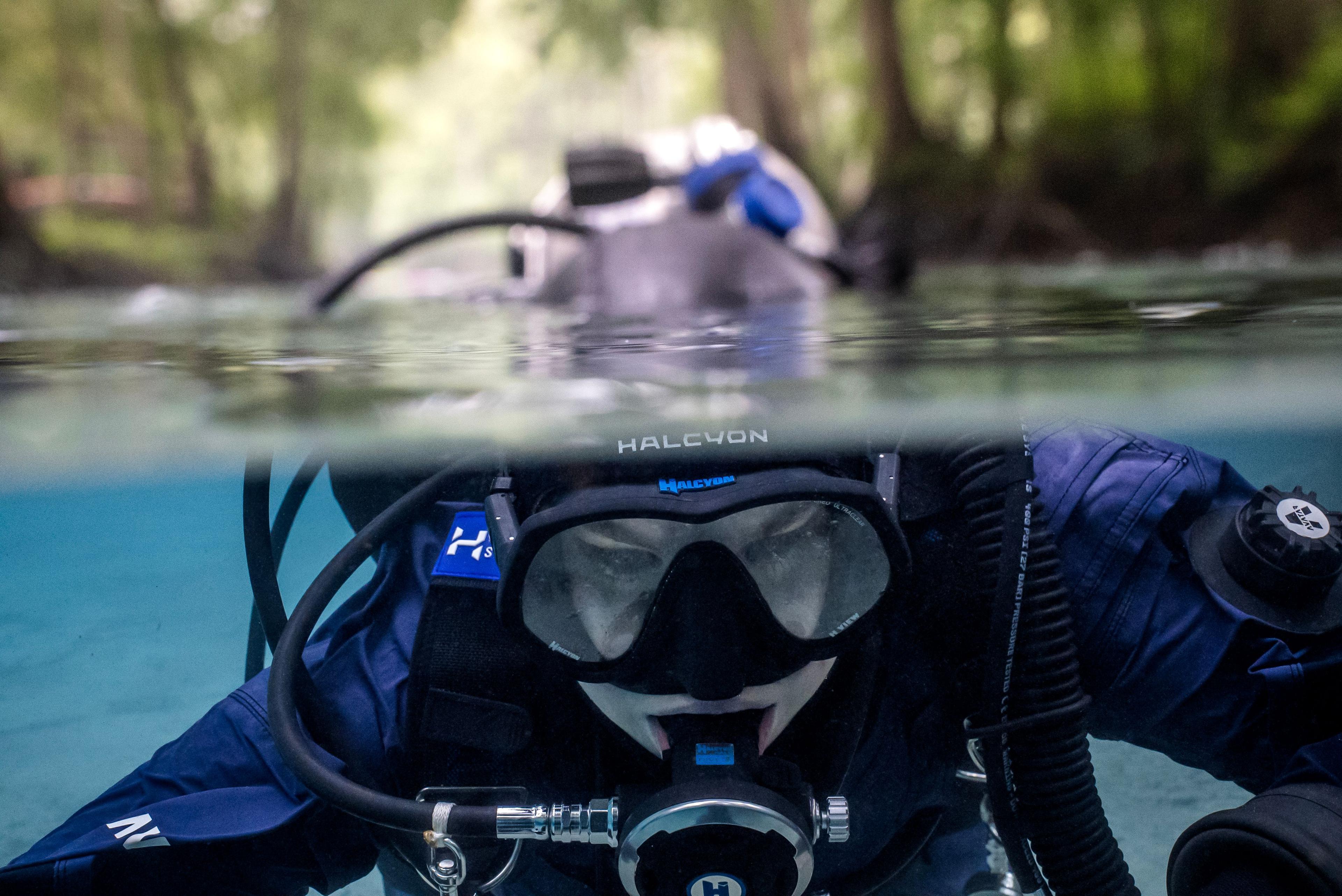 halcyon single wing system