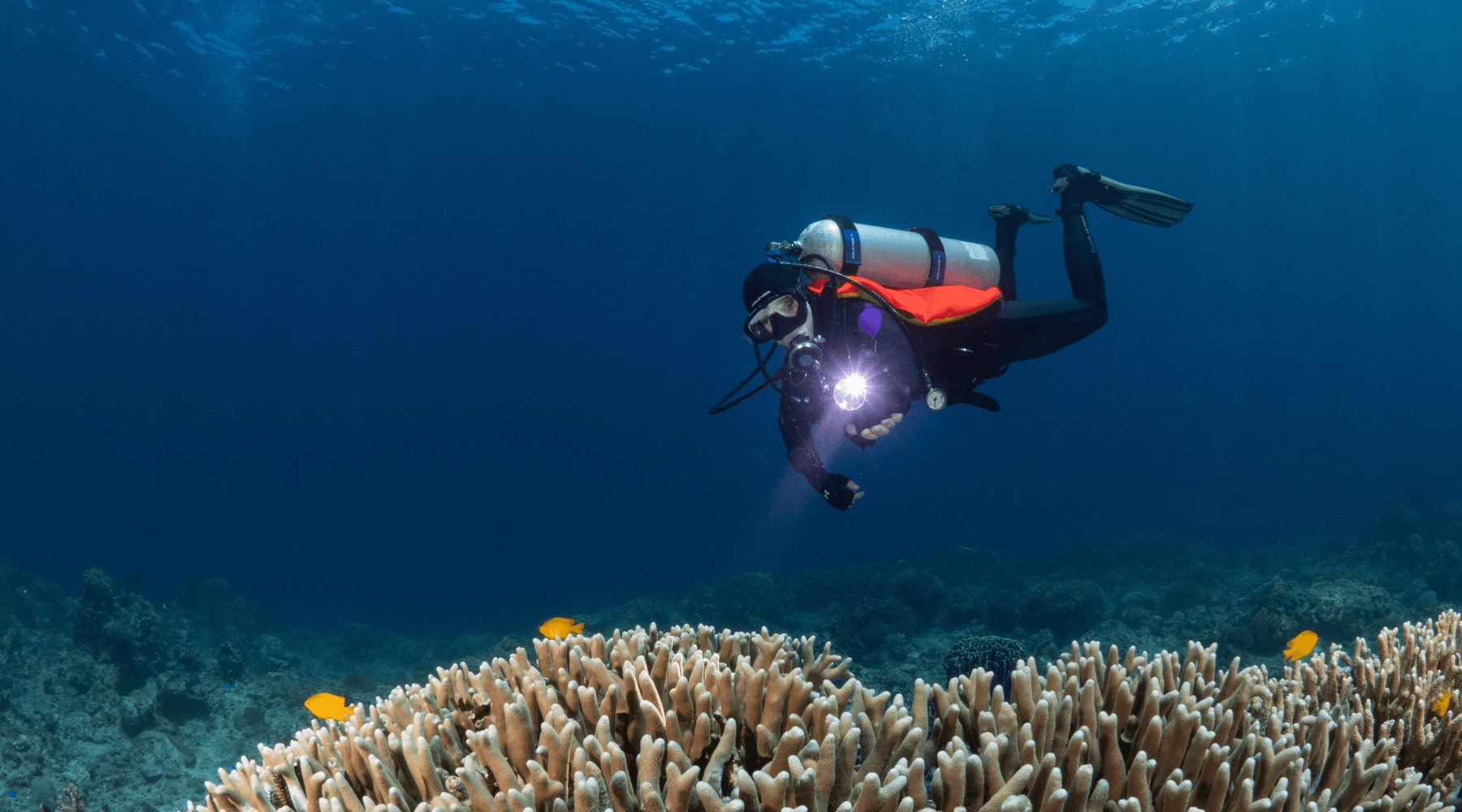 Diver with custom Halcyon wing underwater