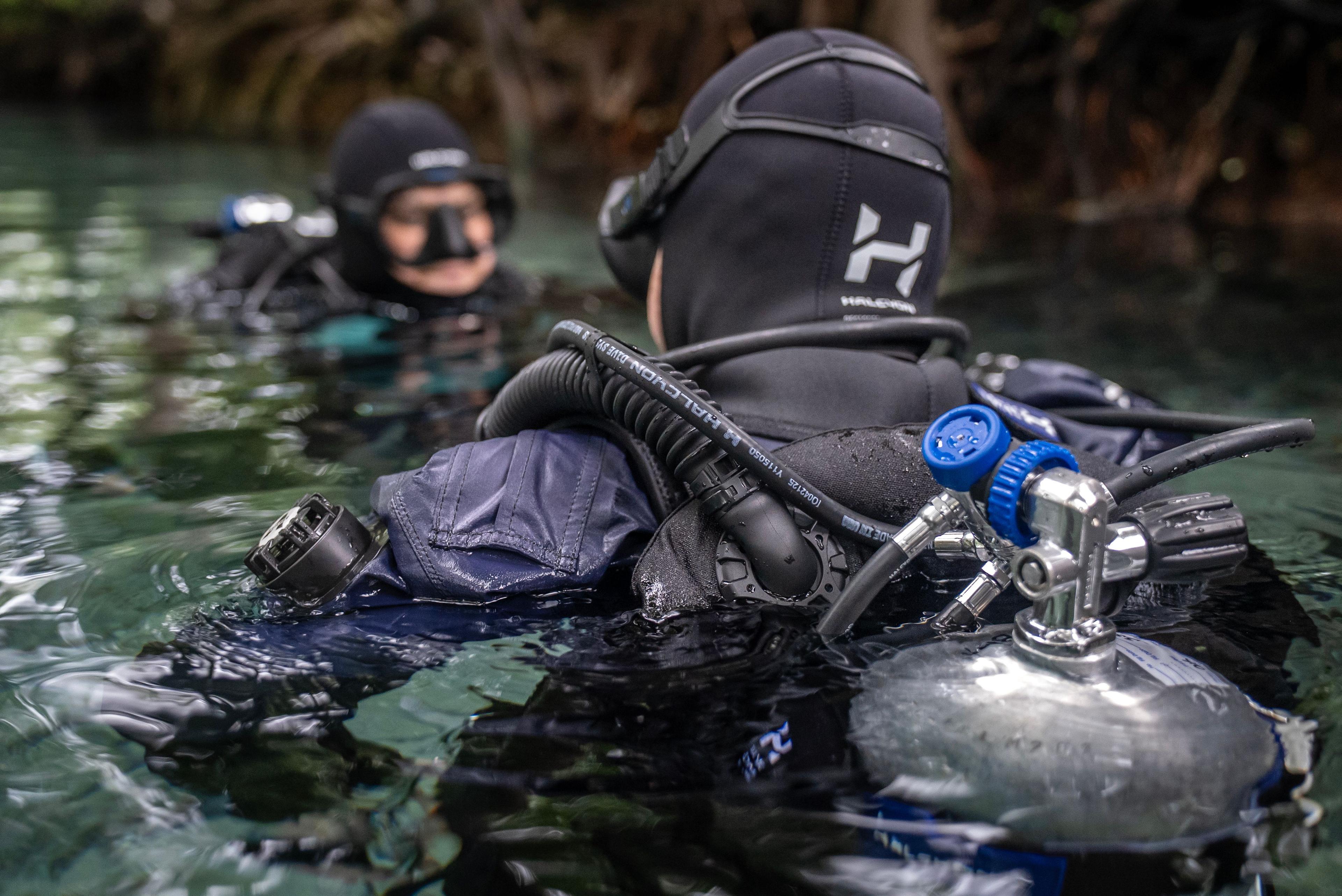 Halcyon Single tank wing system